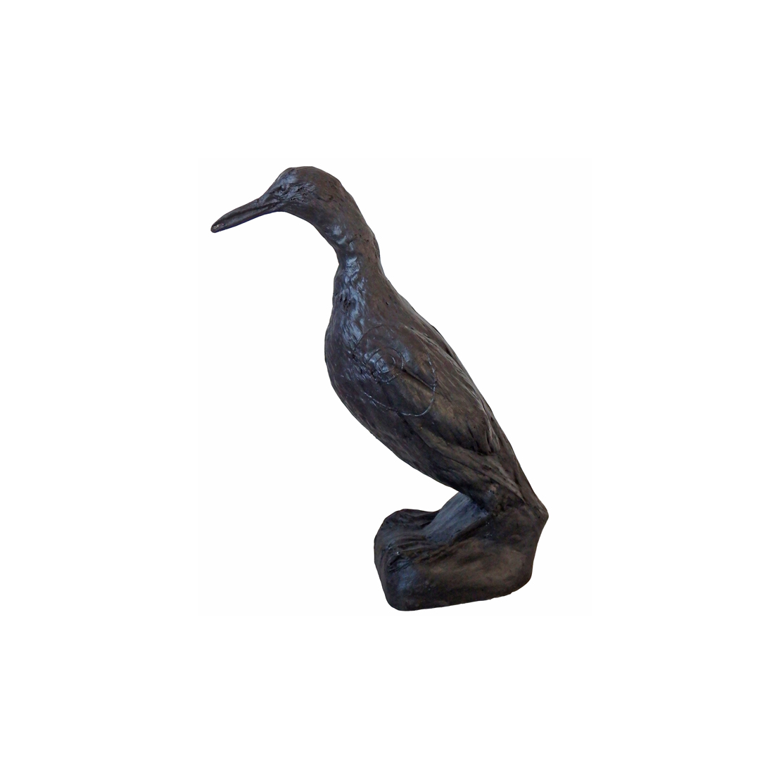 Dier, Vogel, Aalscholver, Watervogels, Snavel