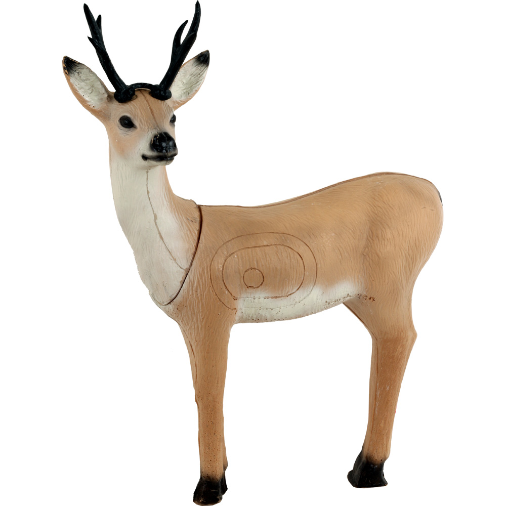 Franzbogen 3D Target Roebuck Standing