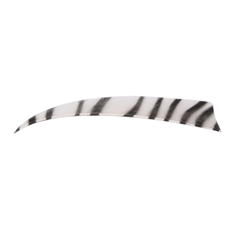Bearpaw Feather Shield Zebra RW 5 Inch Natuurveer