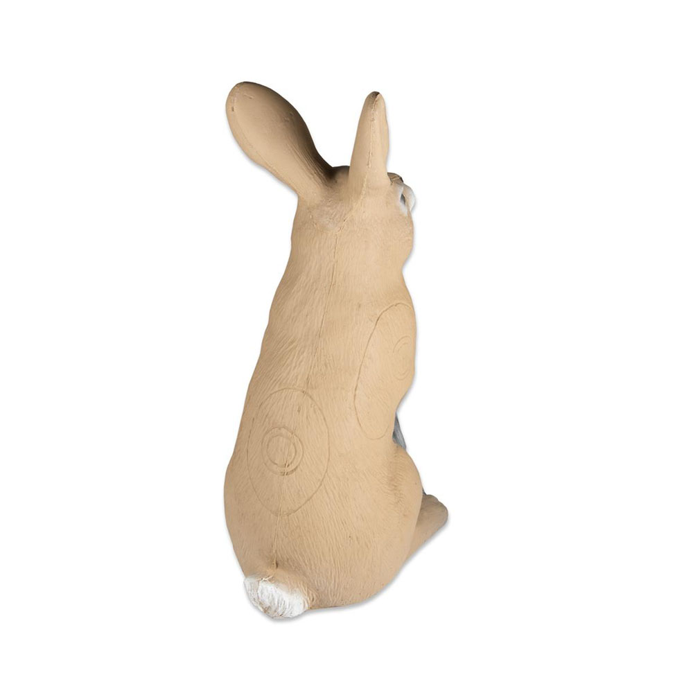 Dier, Zoogdier, Konijn