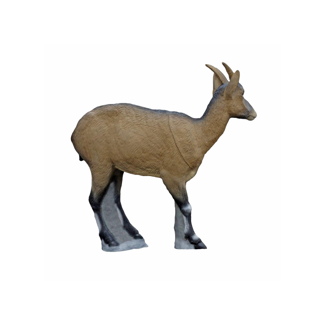 Dier, Antilope, Zoogdier, Vee, Geit