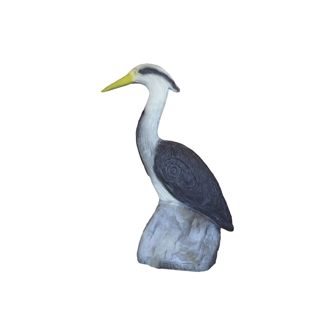 Snavel, Vogel, Watervogels, Aalscholver, Kraanvogel