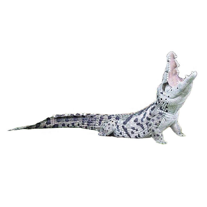 Natur Foam 3D Target Crocodile