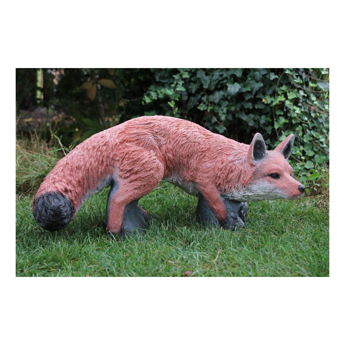 Gras, Dier, Vos, Kit Fox, Varken