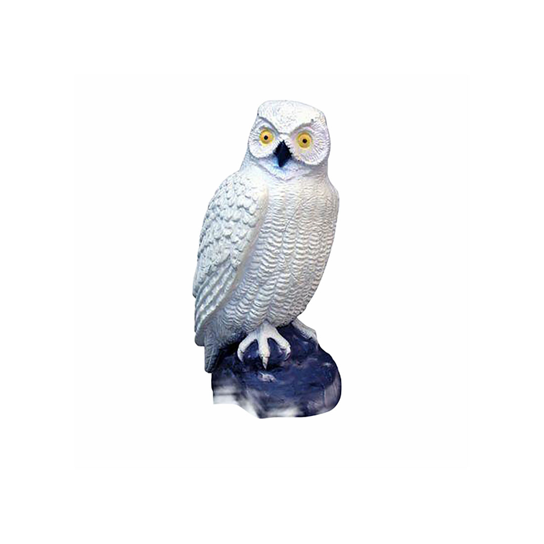 SRT Targets White Owl 