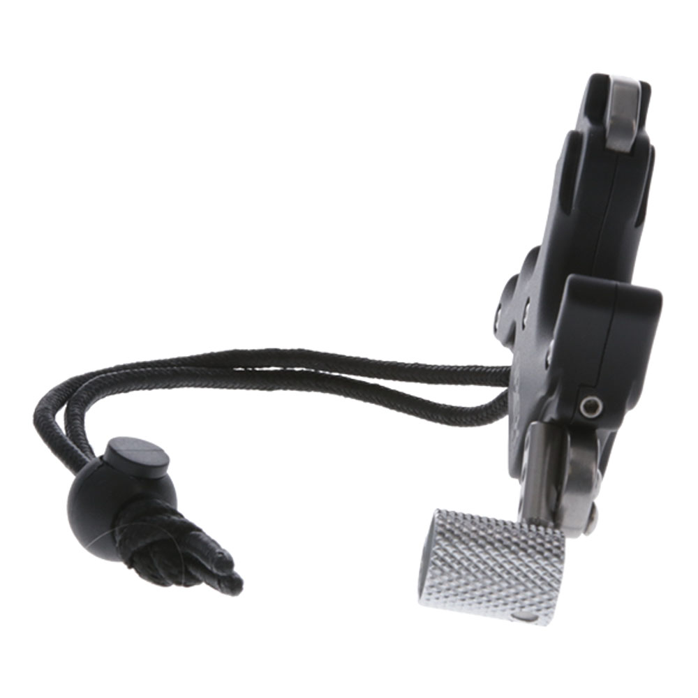 Elektrisch apparaat, Microfoon