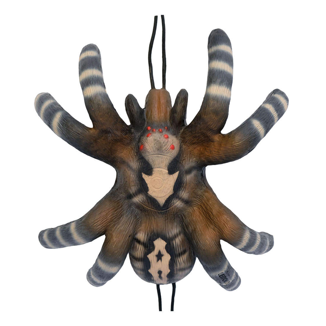 Dier, Ongewervelde dieren, Spin