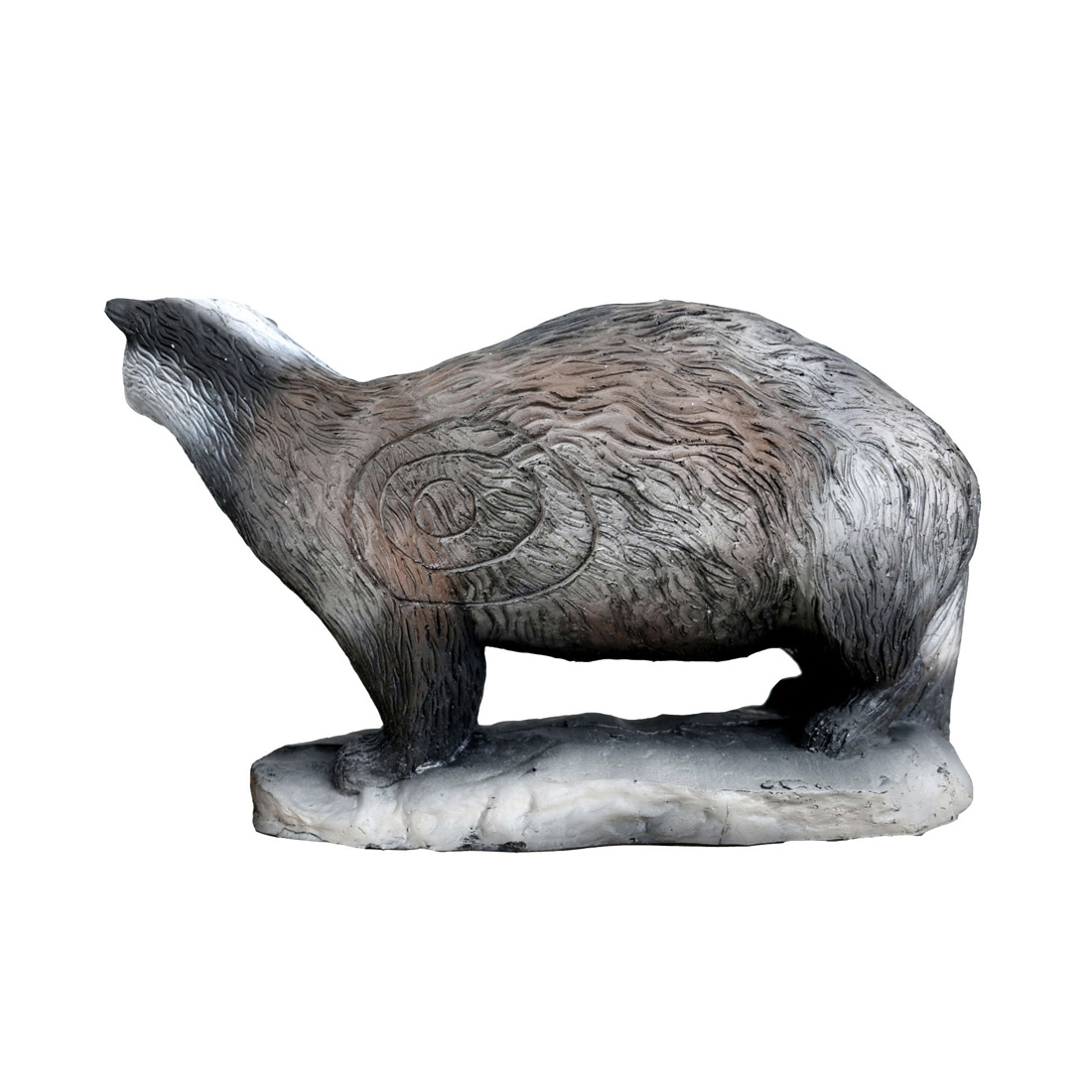 Dier, Zoogdier, Varken