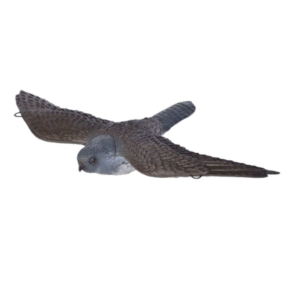 Franzbogen 3D Target Flying Falcon