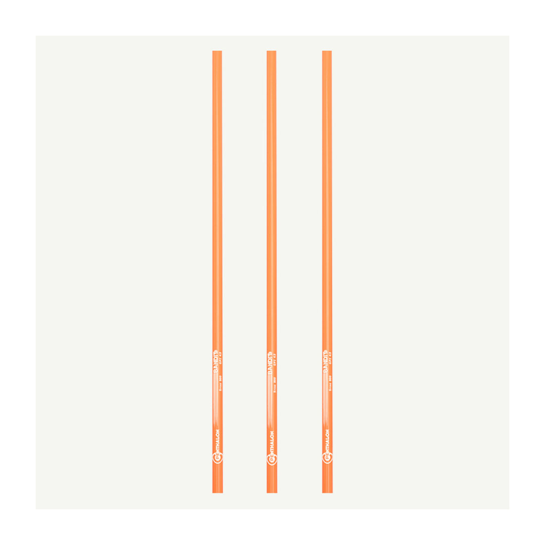 Roeispanen, Pagina, Tekst