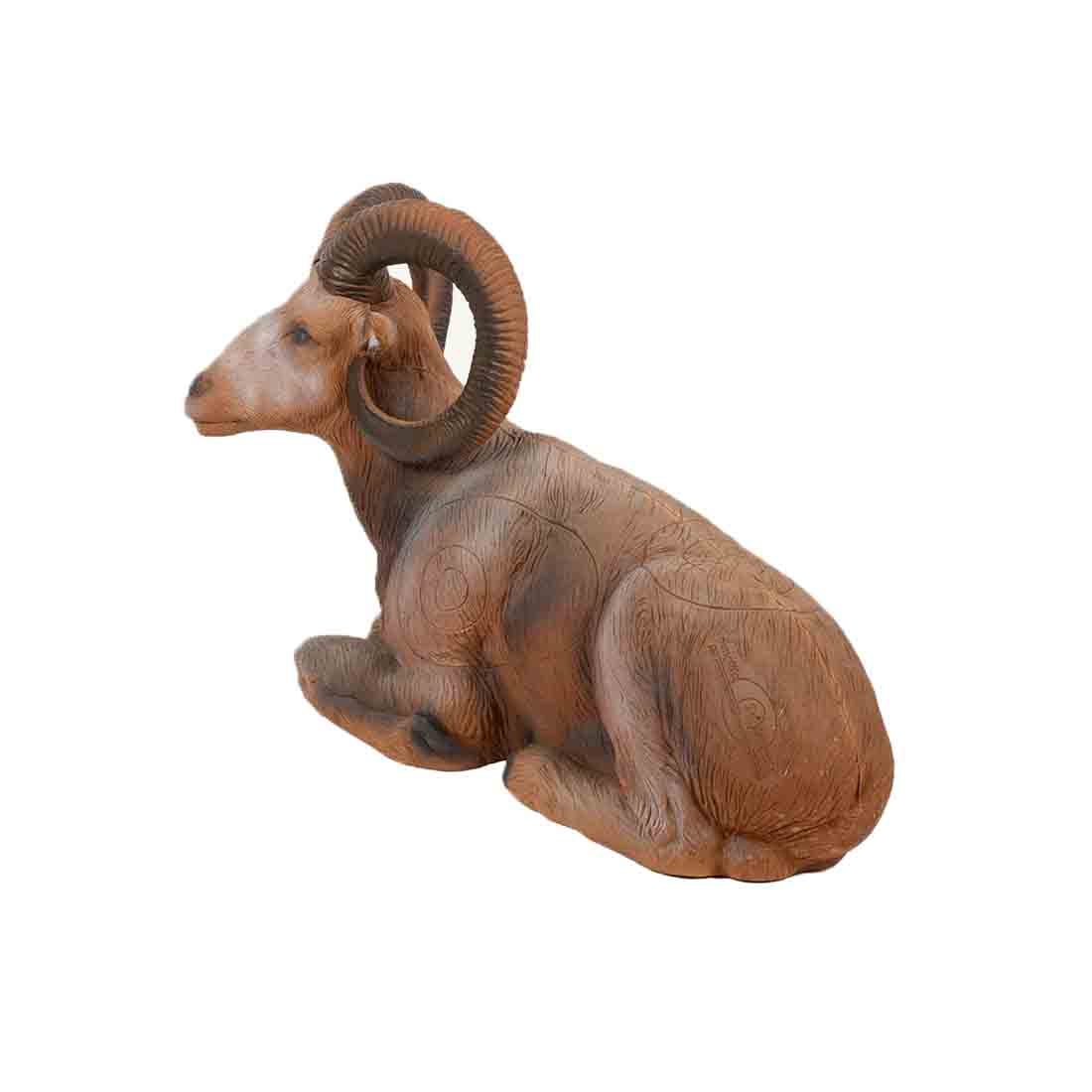 Dier, Vee, Zoogdier, Schapen