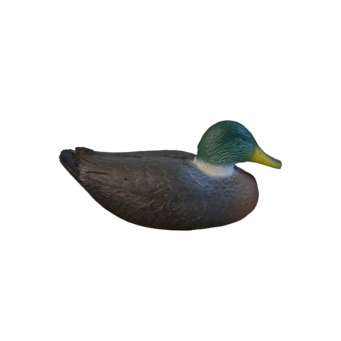 Anseriformes, Vogel, Eend, Snavel, taling