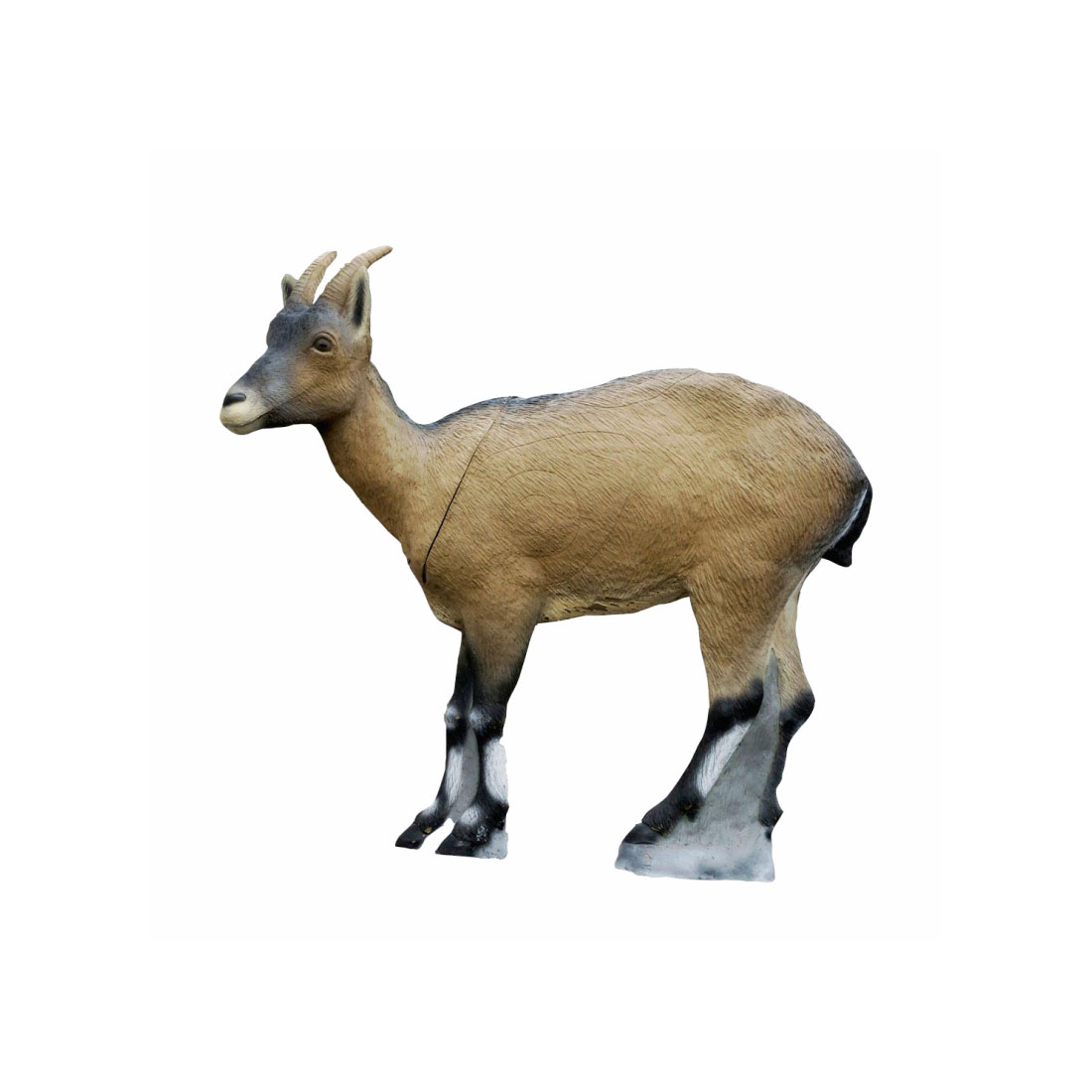 Dier, Antilope, Zoogdier, Vee, Geit