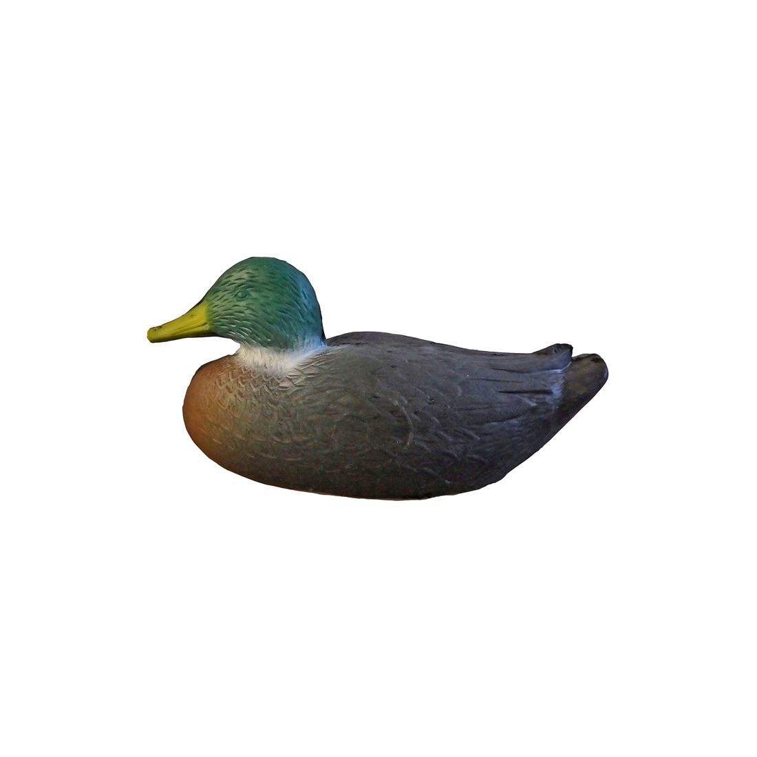Anseriformes, Vogel, taling, Snavel, Eend