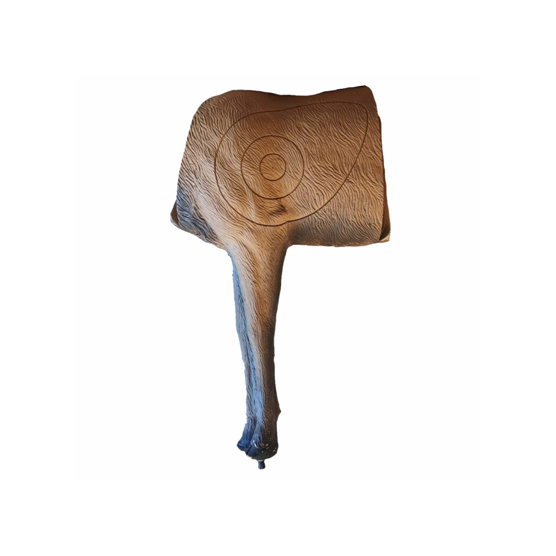 Hout