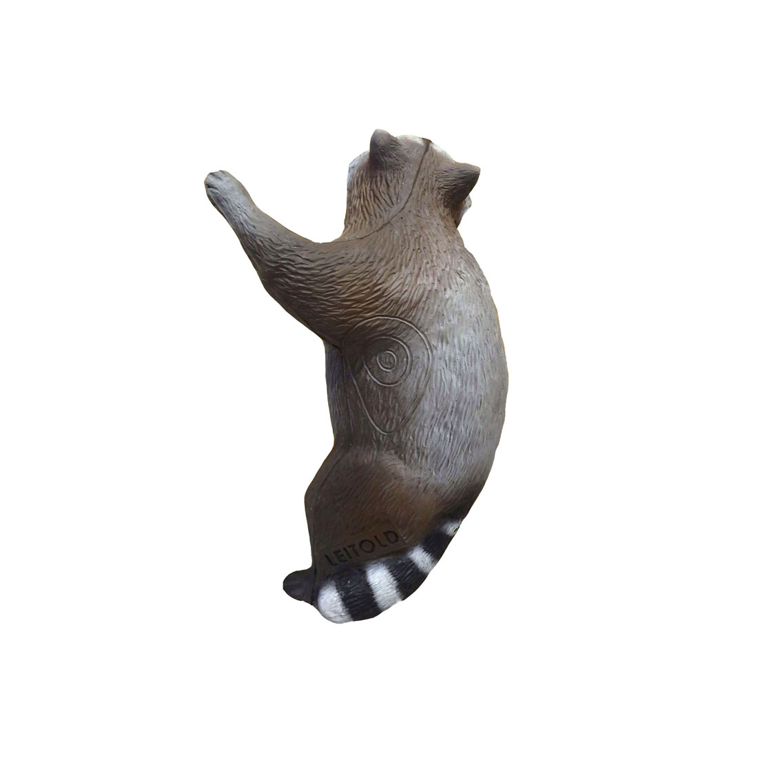 Dier, Zoogdier