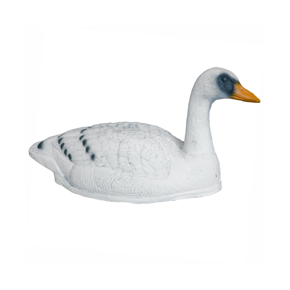 Dier, Vogel, Anseriformes, Watervogels, Gans