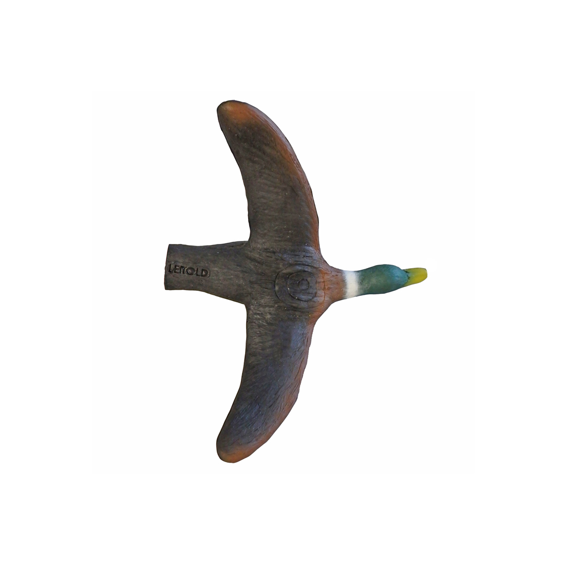 Dier, Vogel, Vliegen