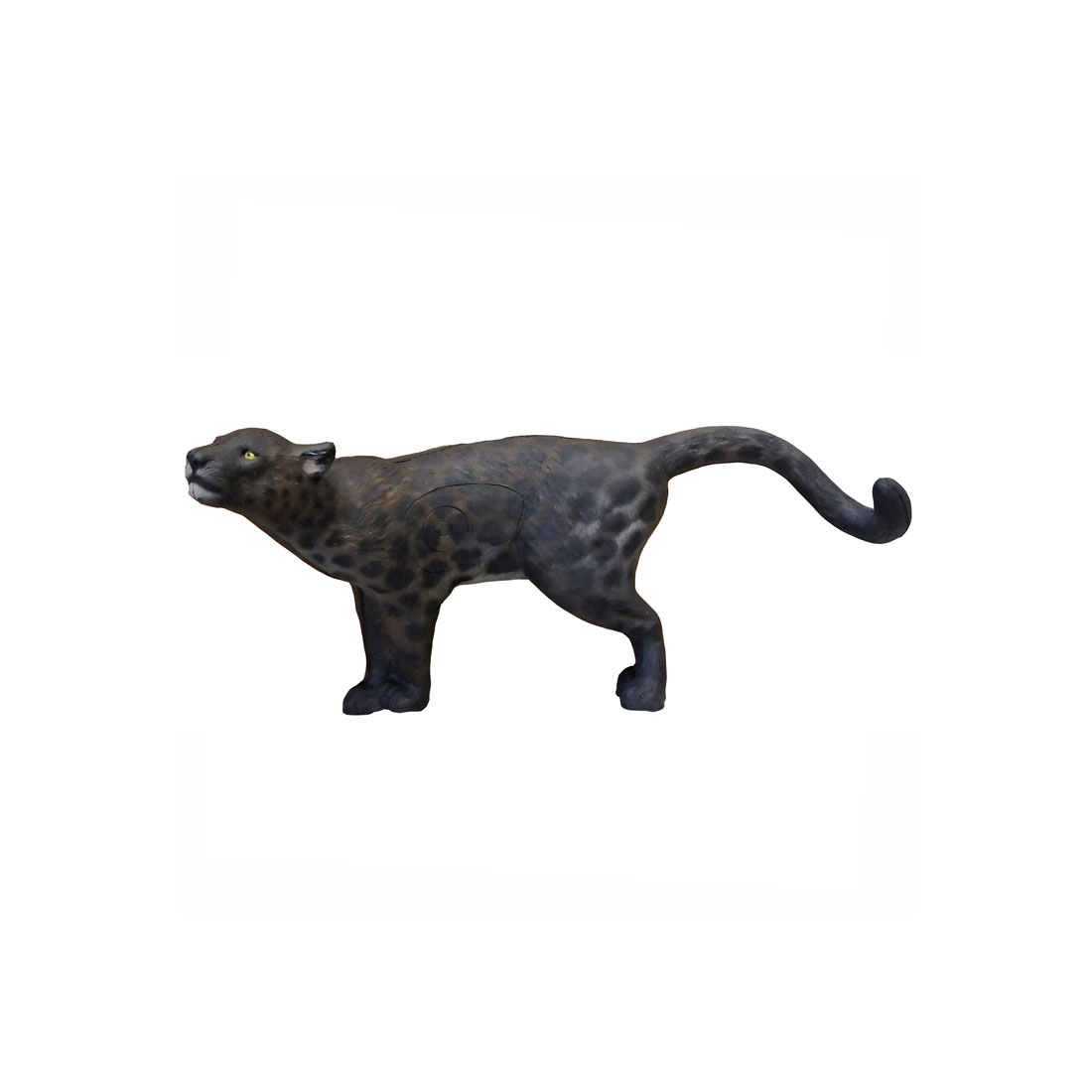 Dier, Zoogdier, Panter, Wilde dieren
