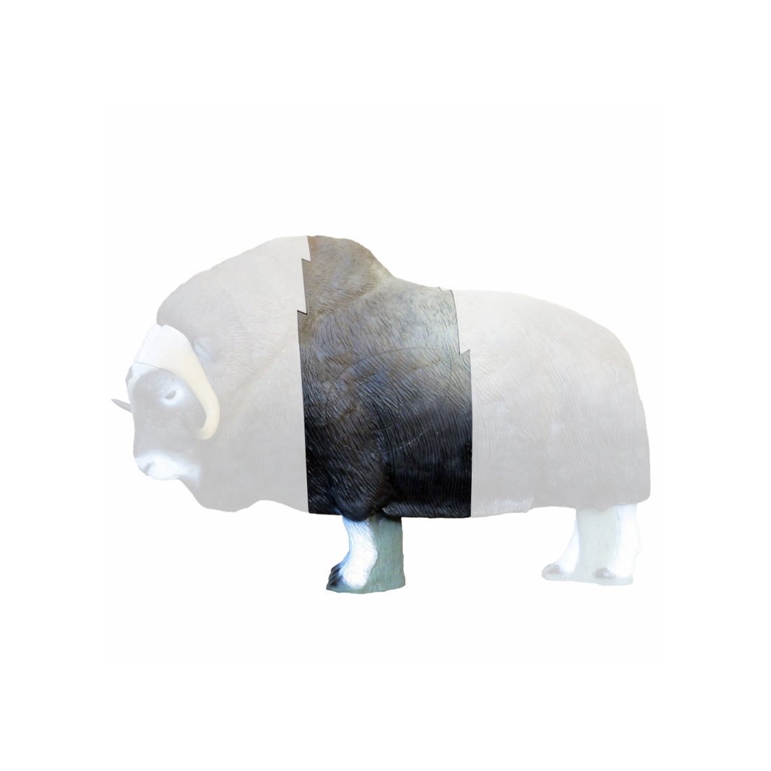 Dier, Olifant, Zoogdier, Wilde dieren