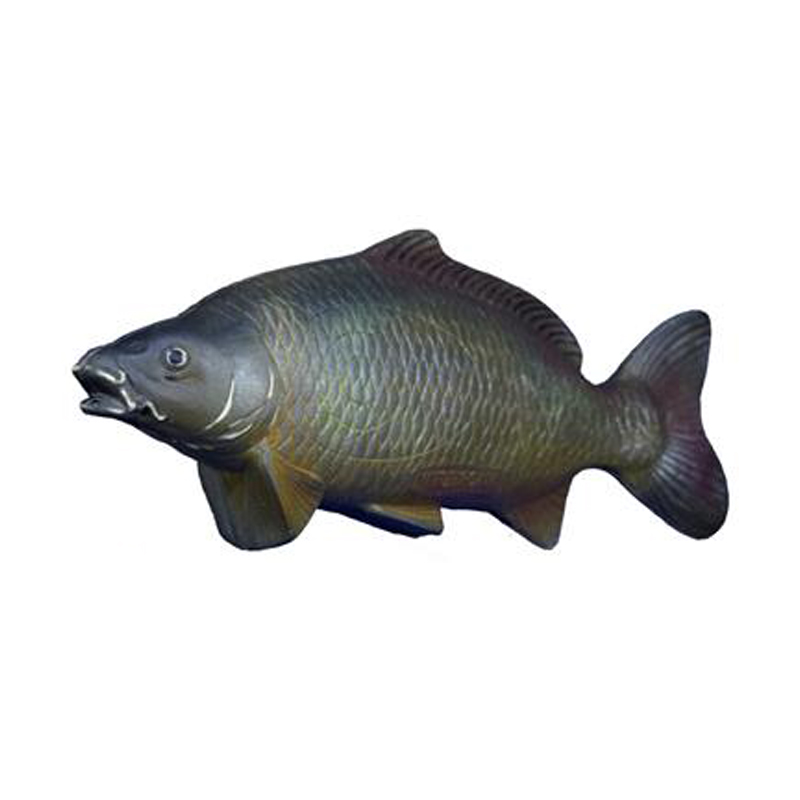 Natur Foam 3D Target Carp