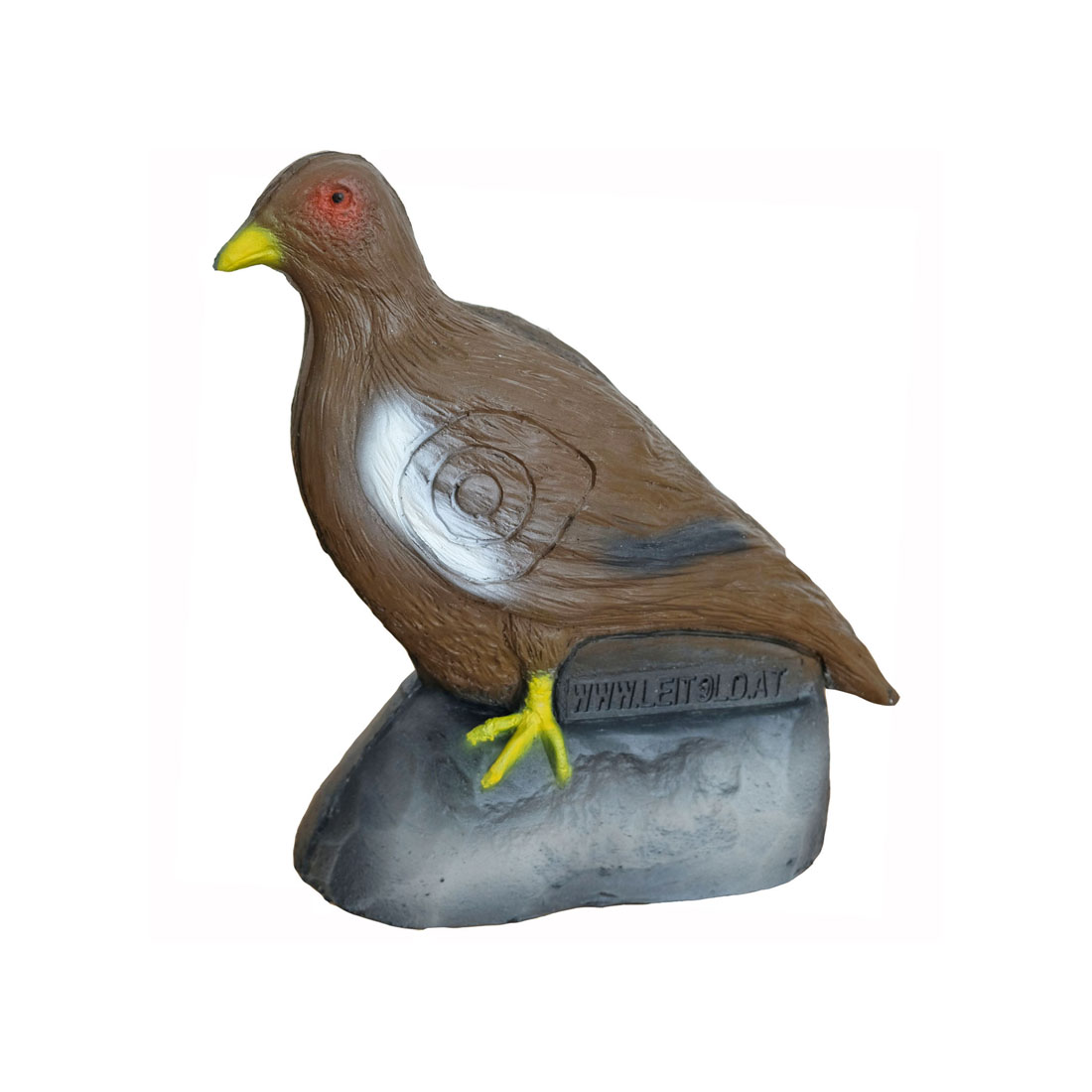 Dier, Vogel, Vink