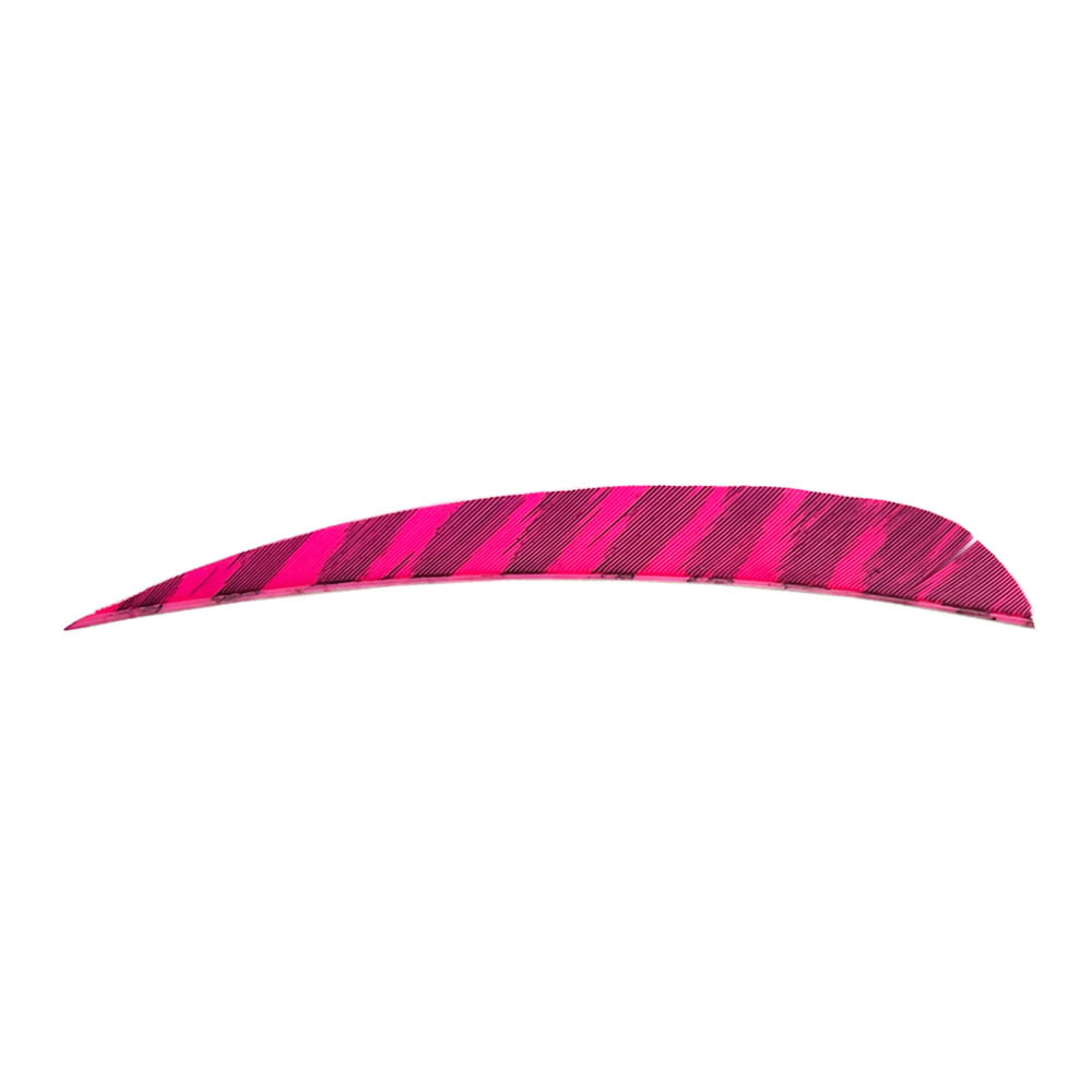 Kleur: Barred Pink Kleur: Barred Pink