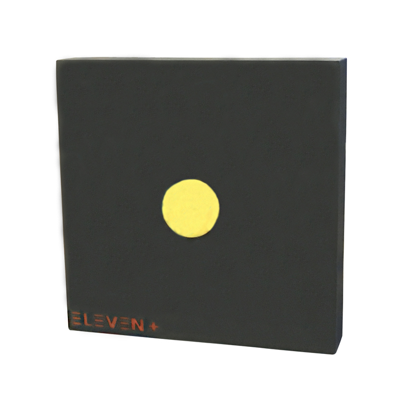 Eleven Plus Foam Target 125x125x20cm with Large Insert