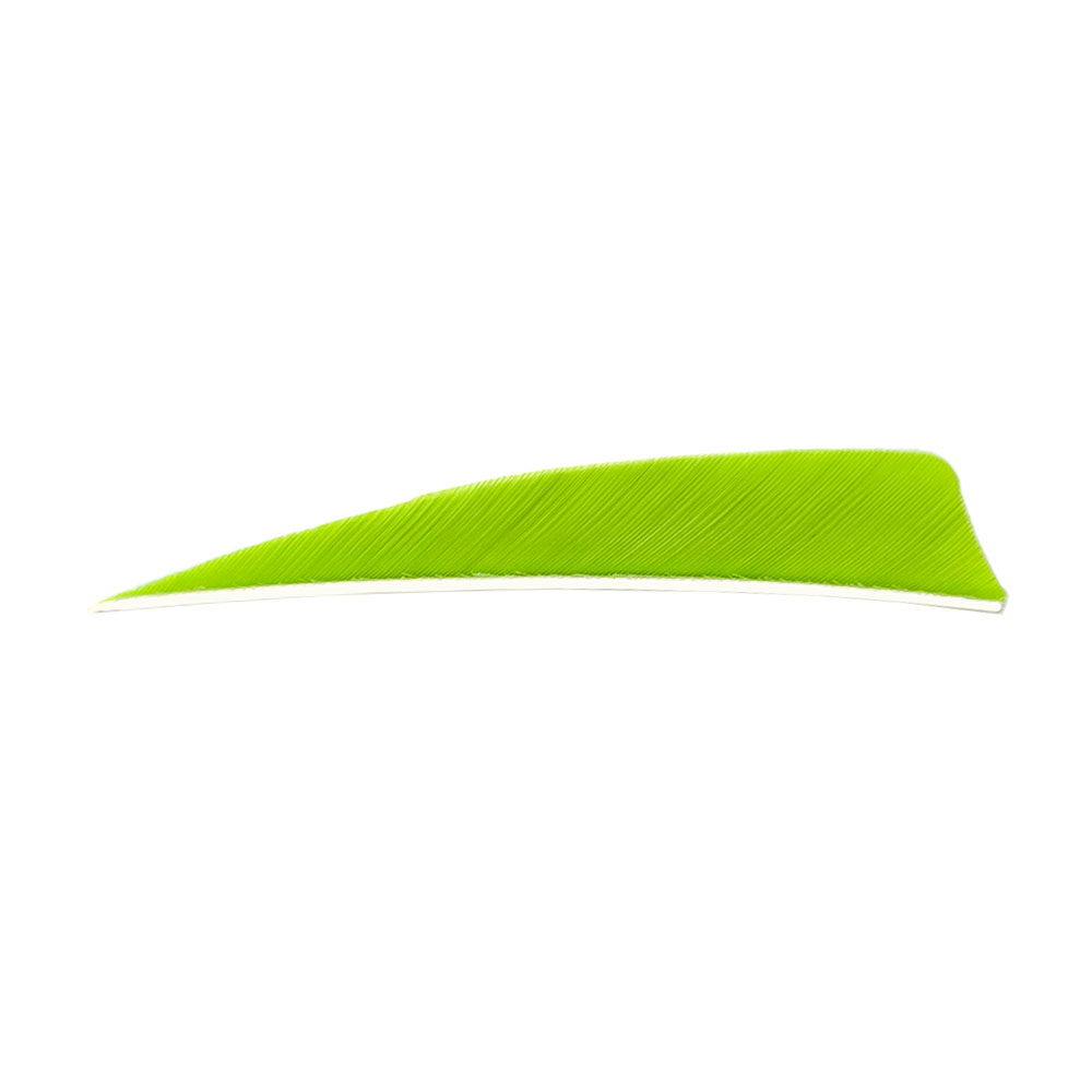 Kleur: Lemon Lime
