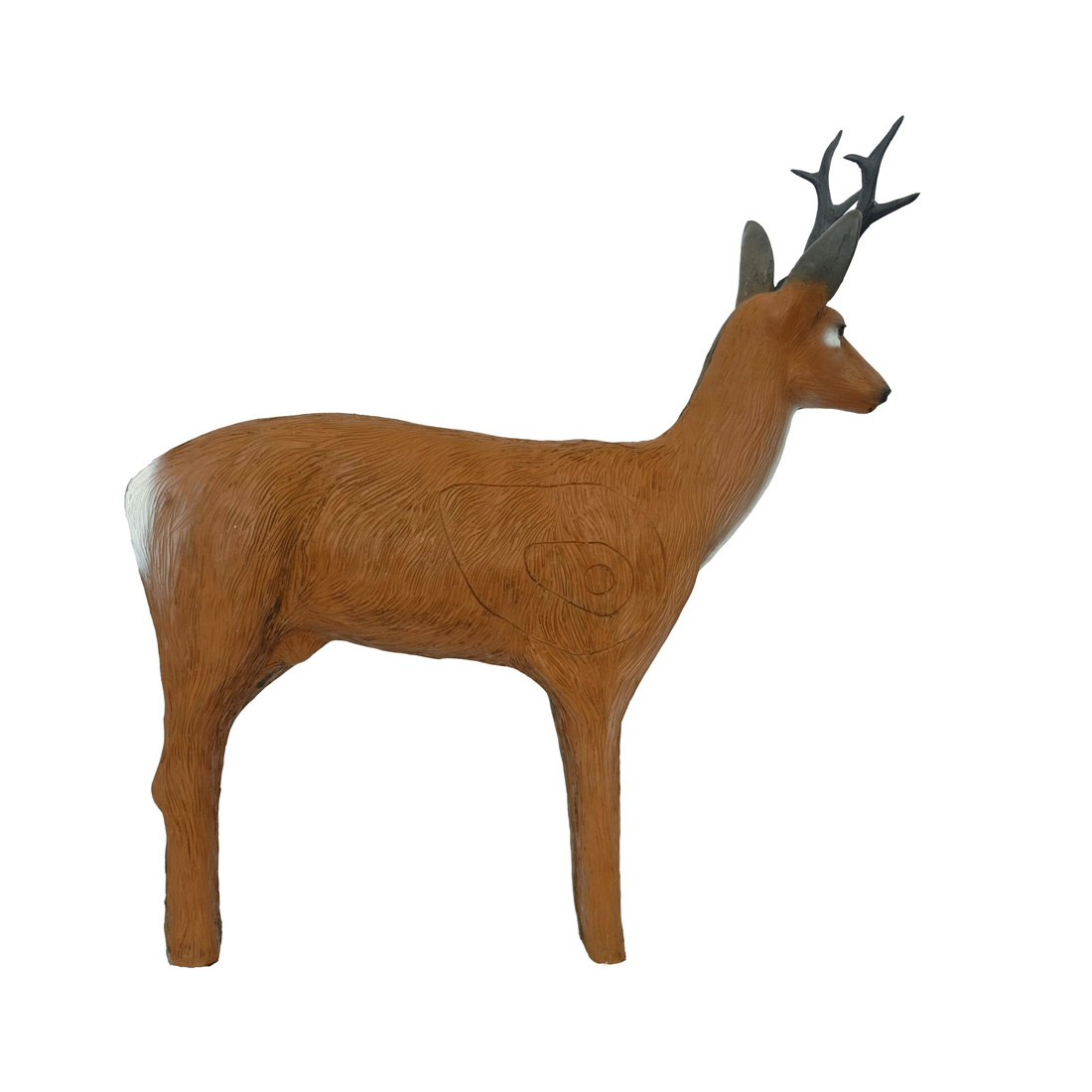 Dier, hert, Zoogdier, Wilde dieren, Antilope