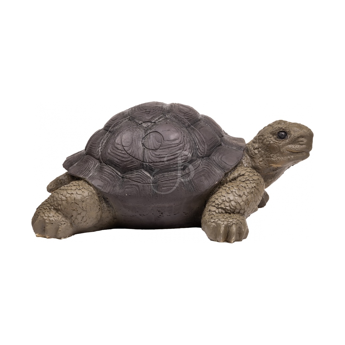 turtle, tortoise, toy, figurine, pet toy