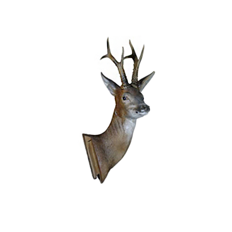 Natur Foam 3D Target Assembly Kit - Roedeer Head