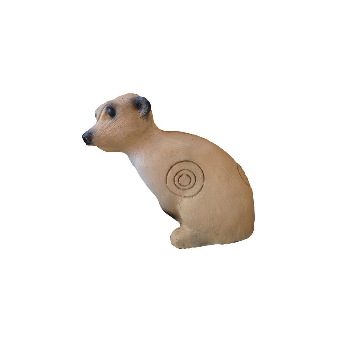 Dier, Beer, Zoogdier, Wilde dieren