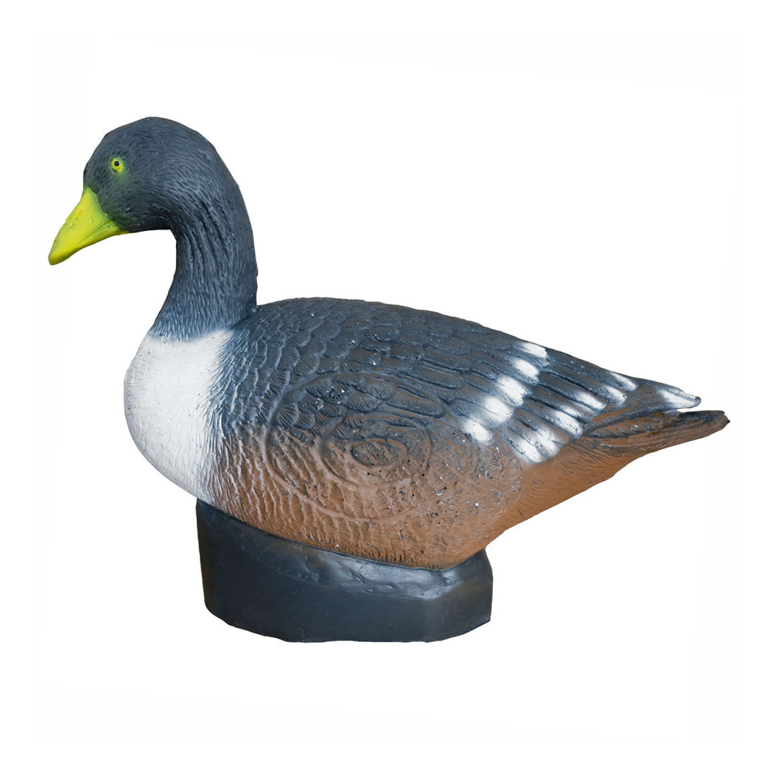 Dier, Anseriformes, Vogel, Watervogels